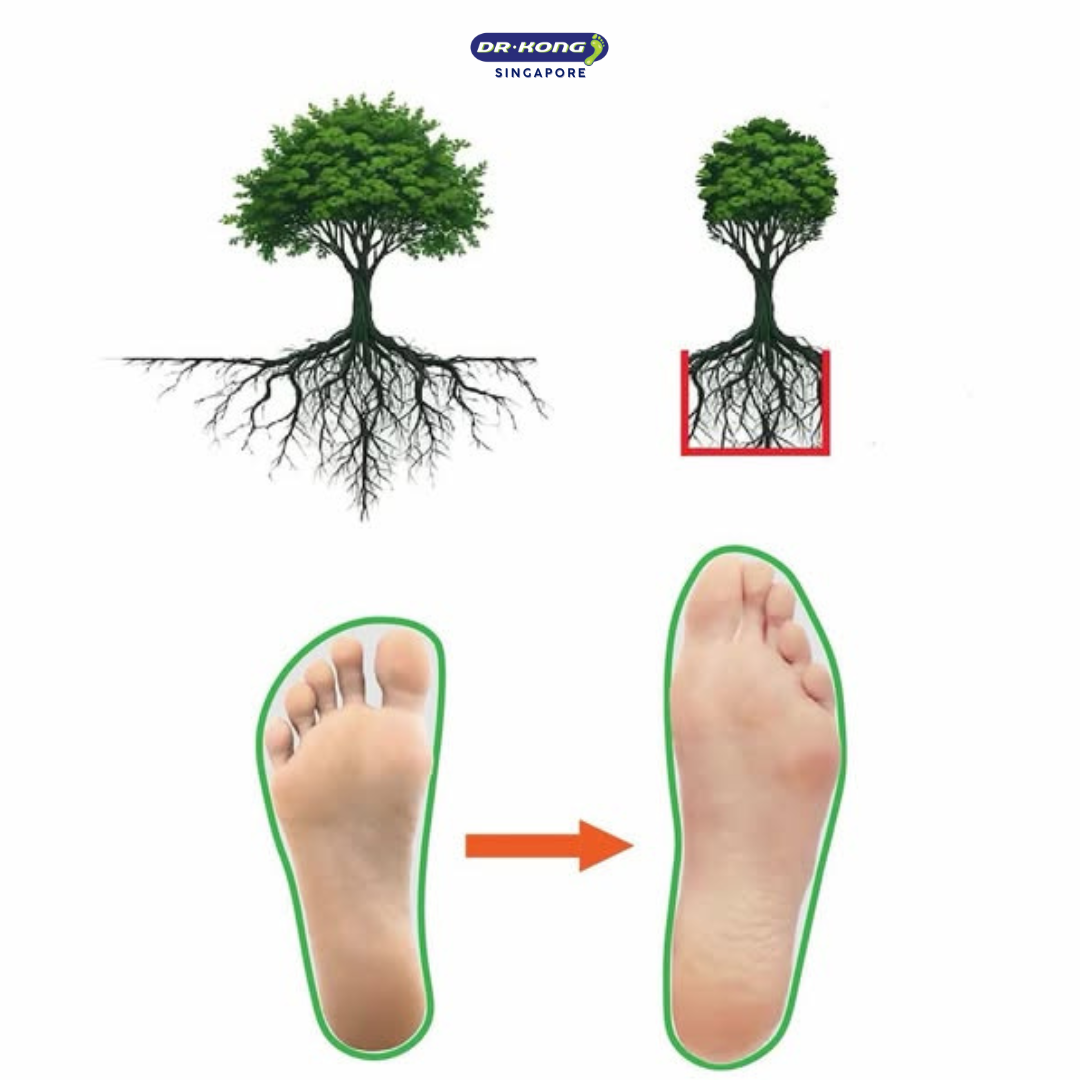 2026 Foot Health: Give Your Feet the Freedom They Deserve 🌱